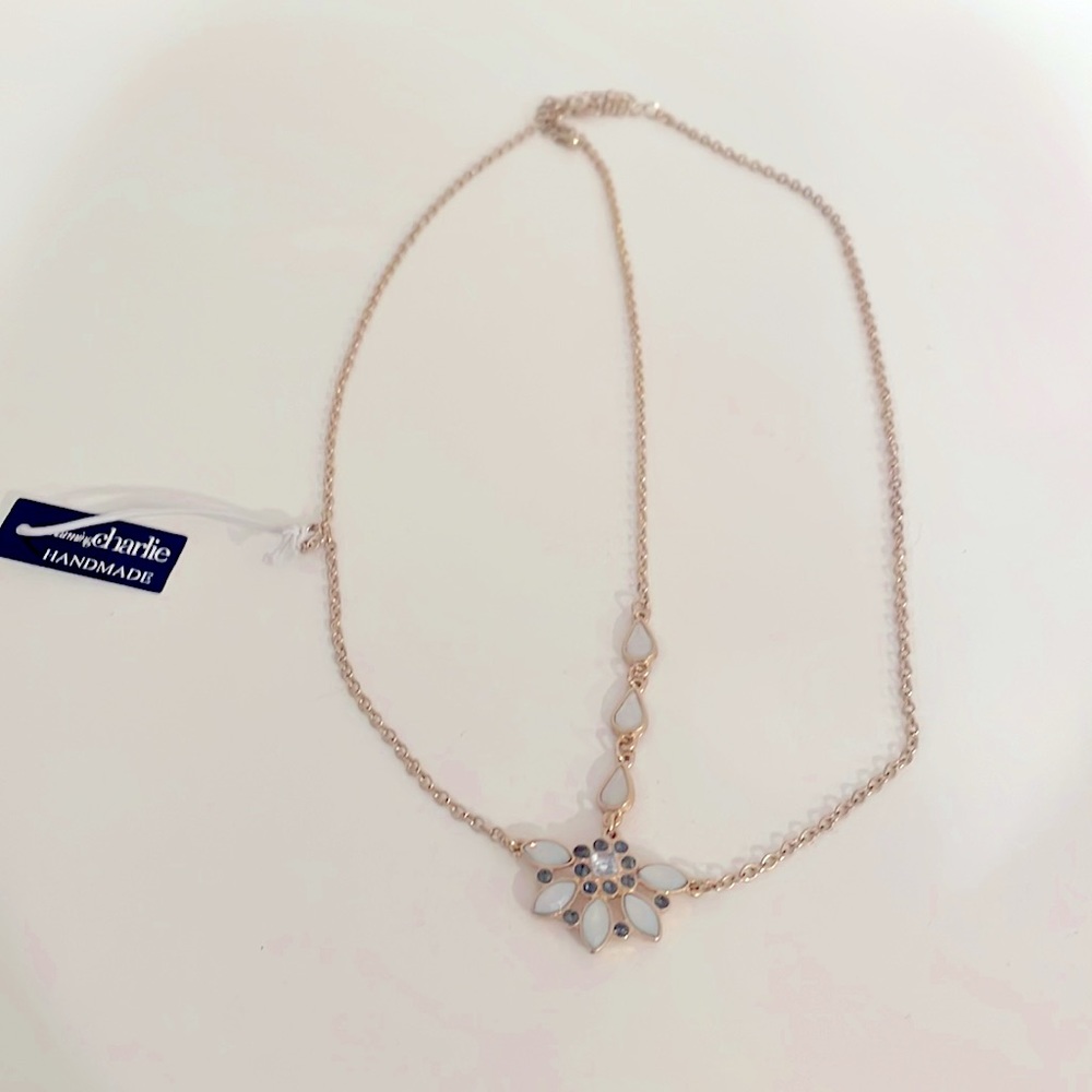 Charming Charlie head chain!